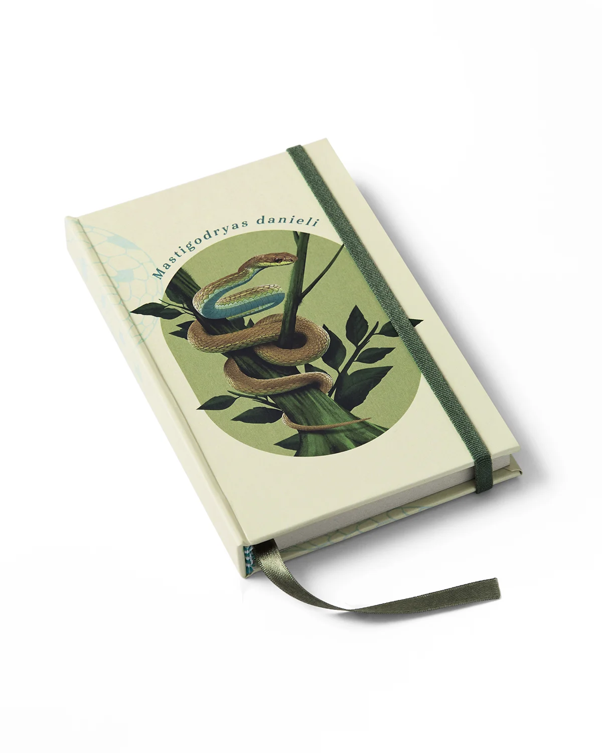 Libreta Mastigodryas vista diagonal